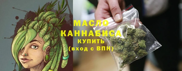 индика Дмитров