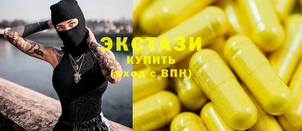 индика Дмитров