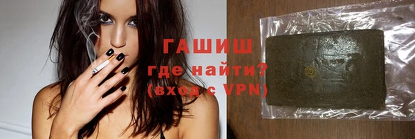 индика Дмитров