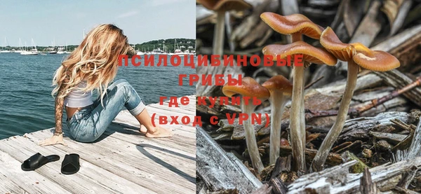 МДПВ Дмитровск