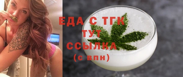 индика Дмитров