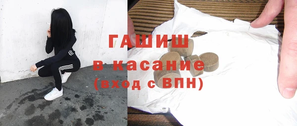 индика Дмитров