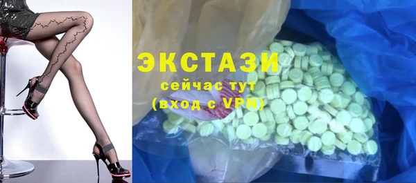 индика Дмитров