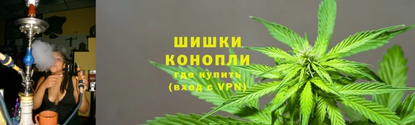 мдпв Дмитриев