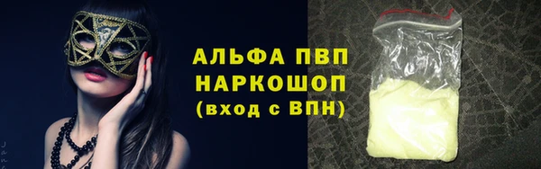 индика Дмитров