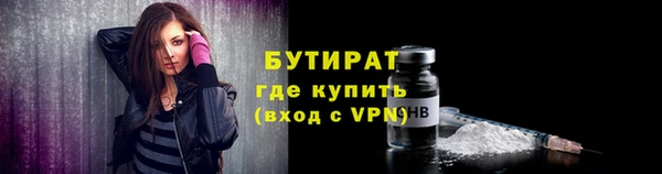 индика Дмитров