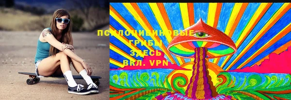 мдпв Дмитриев