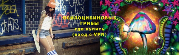 индика Дмитров