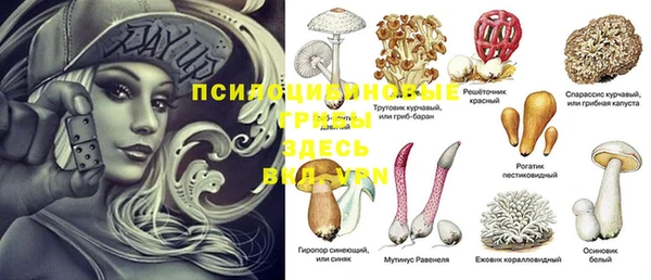МДПВ Дмитровск