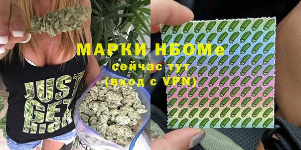 мдпв Дмитриев