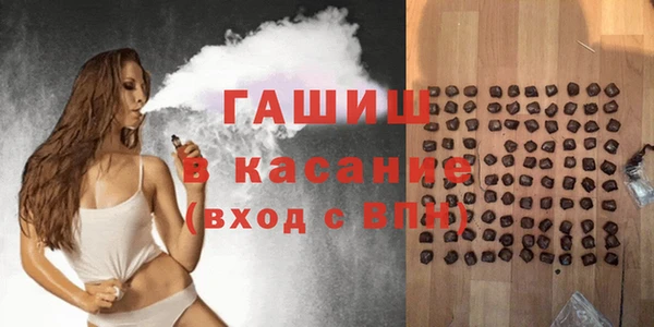 индика Дмитров