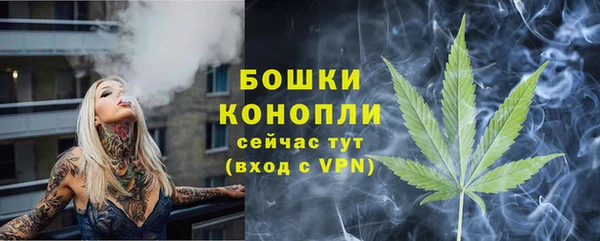 индика Дмитров