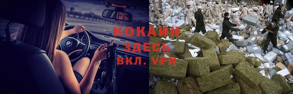индика Дмитров