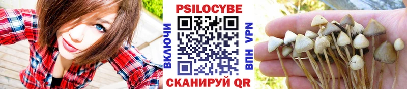 Купить где  Курганинск  Псилоцибиновые грибы ЛСД 
