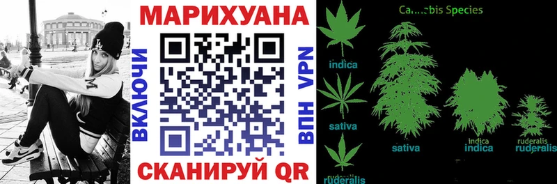 Купить Курганинск МАРИХУАНА план